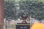 d_jalianwala bagh